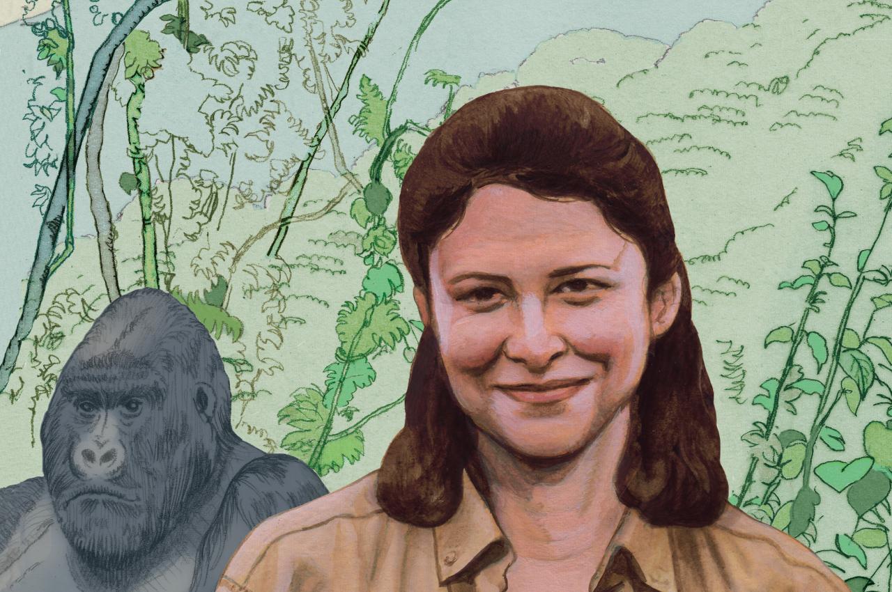 An illustration depicts Tara Stoinski in front of a gorilla in its mountain habitat