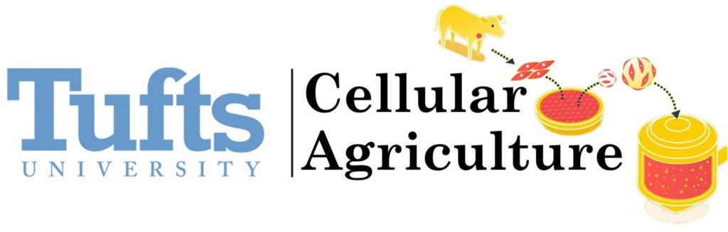 Center for Cellular Agriculture Logo