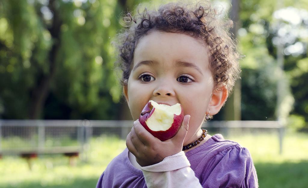 A young child eats an apple outdoors